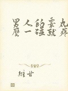 男人的睾丸为什么一碰就疼