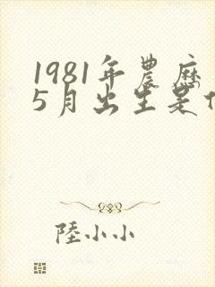 1981年农历5月出生是什么命