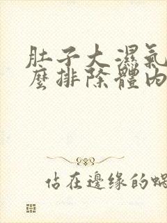 肚子大湿气重怎么排除体内湿气封面