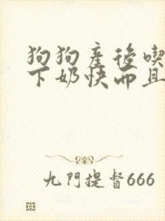 狗狗产后吃什么下奶快而且奶多