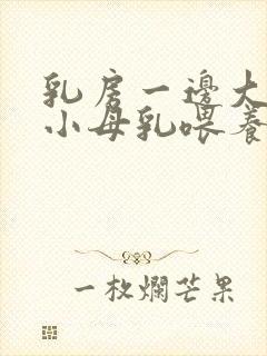 乳房一边大一边小母乳喂养怎么办怎样调整