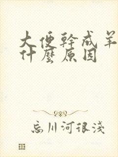 大便干成羊屎蛋什么原因