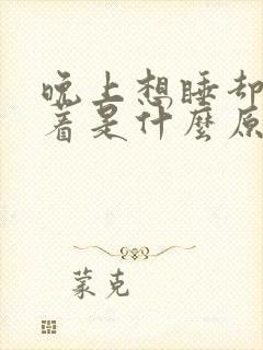 晚上想睡却睡不着是什么原因封面