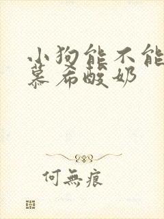 小狗能不能喝安慕希酸奶