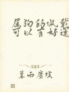 属狗的佩戴什么可以有好运封面