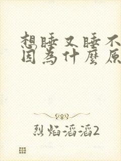 想睡又睡不着是因为什么原因