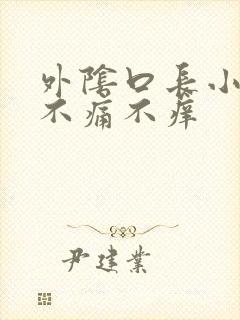 外阴口长小肉粒不痛不痒