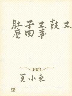 肚子又鼓又硬怎么回事封面