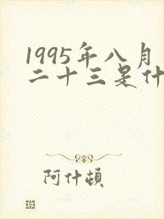 1995年八月二十三是什么命封面