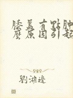 膝盖有点肿痛什么原因引起的