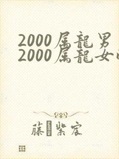 2000属龙男2000属龙女配吗
