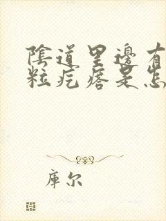 阴道里边有小米粒疙瘩是怎么回事