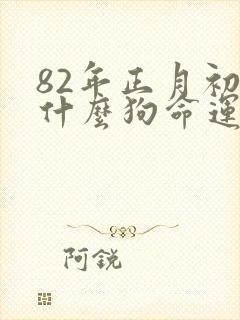 82年正月初六什么狗命运好