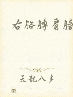 右胳膊肩膀酸痛封面