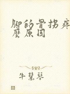 脚的骨拐疼是什么原因