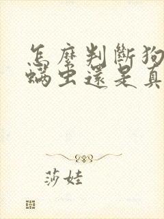 怎么判断狗狗是螨虫还是真菌感染