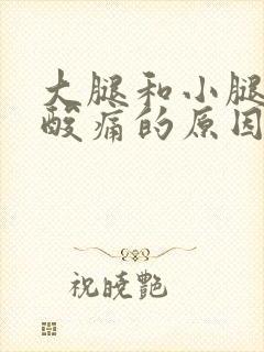 大腿和小腿肌肉酸痛的原因
