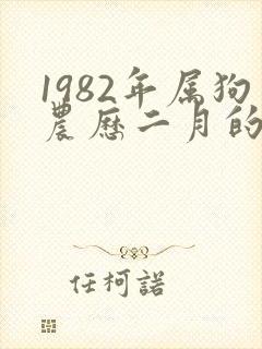 1982年属狗农历二月的命