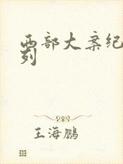 西部大案纪实系列封面