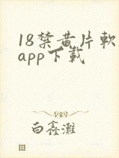 18禁黄片软件app下载
