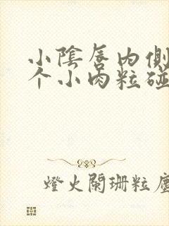 小阴唇内侧长了个小肉粒碰到会痛