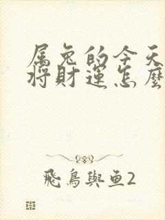 属兔的今天打麻将财运怎么样