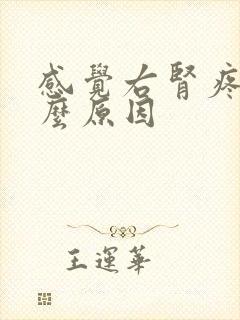 感觉右肾疼是什么原因