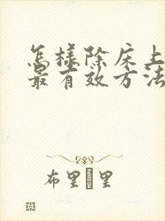 怎样除床上螨虫最有效方法