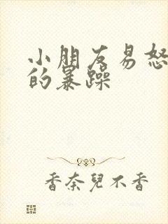 小朋友易怒脾气的暴躁