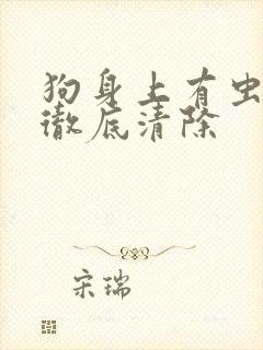 狗身上有虫怎样彻底清除