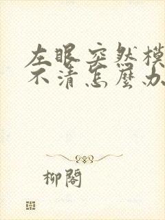 左眼突然模糊看不清怎么办封面