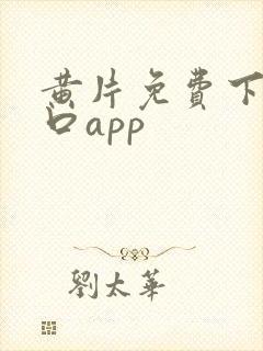 黄片免费下载入口app封面