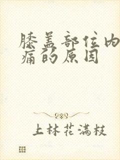 膝盖部位内侧疼痛的原因