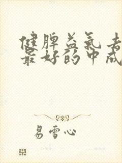 健脾益气去湿气最好的中成药