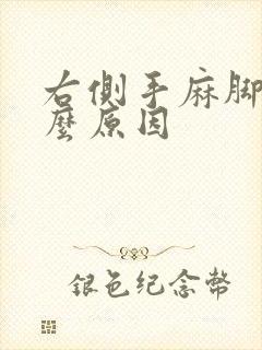 右侧手麻脚麻什么原因