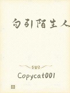 勾引陌生人封面