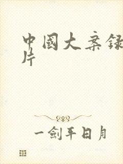 中国大案录纪实片