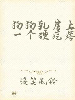 狗狗乳房上长了一个硬疙瘩