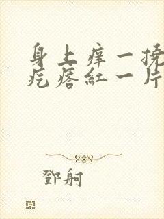 身上痒一挠就起疙瘩红一片