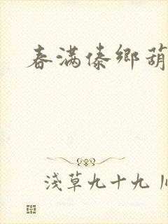 春满傣乡葫芦丝