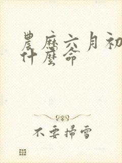 农历六月初一是什么命