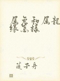 属兔和属龙的姻缘怎样