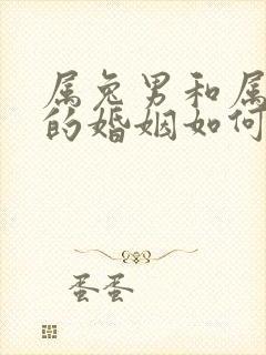 属兔男和属牛女的婚姻如何封面