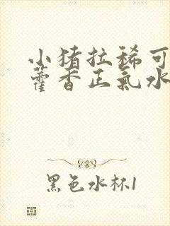 小猪拉稀可以用藿香正气水吗