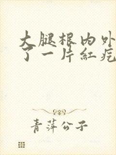 大腿根内外侧起了一片红疙瘩很痒封面