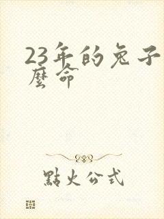 23年的兔子什么命