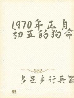 1970年正月初五的狗命运如何