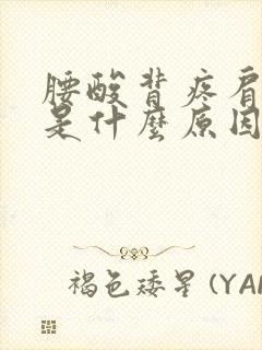 腰酸背疼肩膀疼是什么原因封面