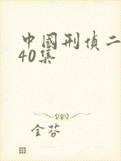 中国刑侦二号案40集