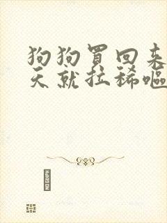 狗狗买回来第二天就拉稀呕吐怎么办